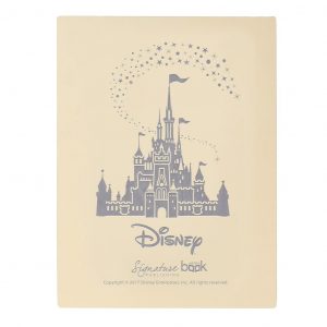 Disney Gift Box Standard
