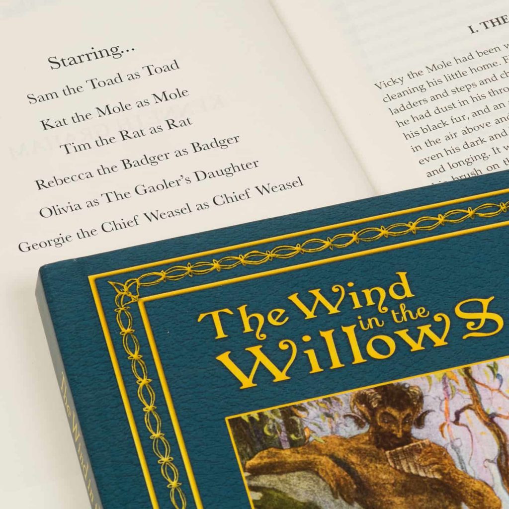 Wind in the Willows Personalised Novel