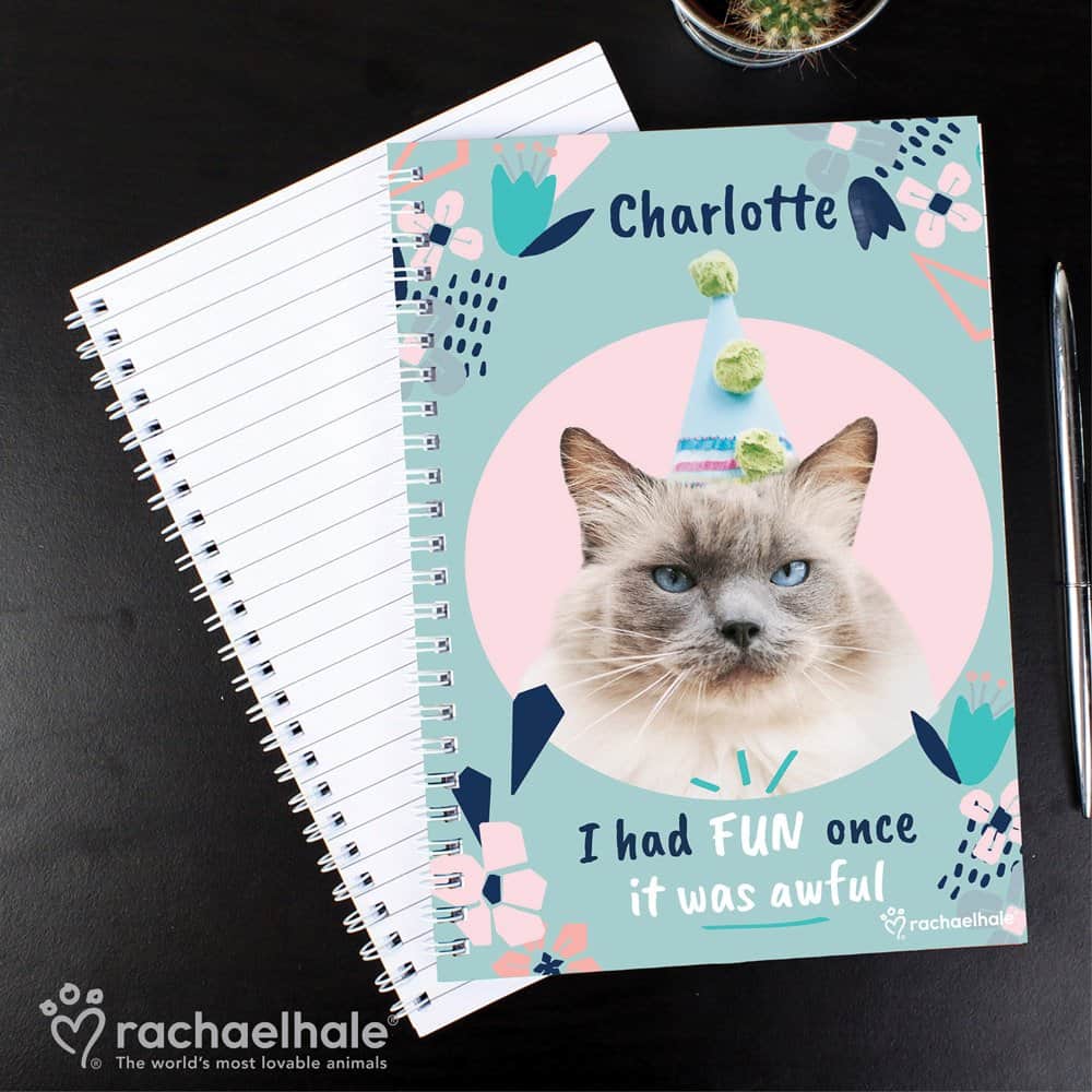 Rachael Hale 'I Had Fun Once' Cat A5 Notebook