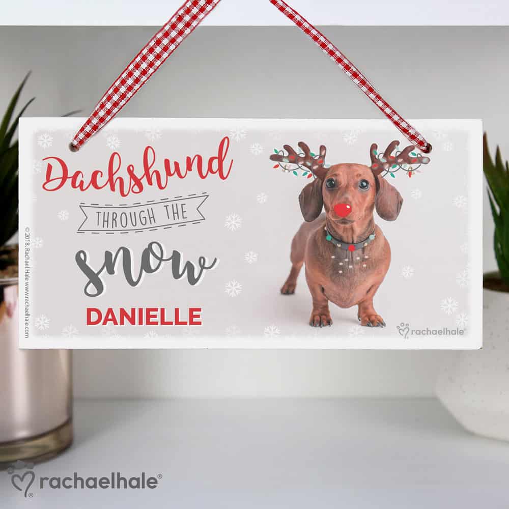 Rachael Hale Christmas Dachshund Through the Snow Wooden Sign