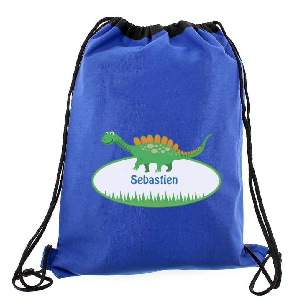 Dinosaur Swim & Kit Bag