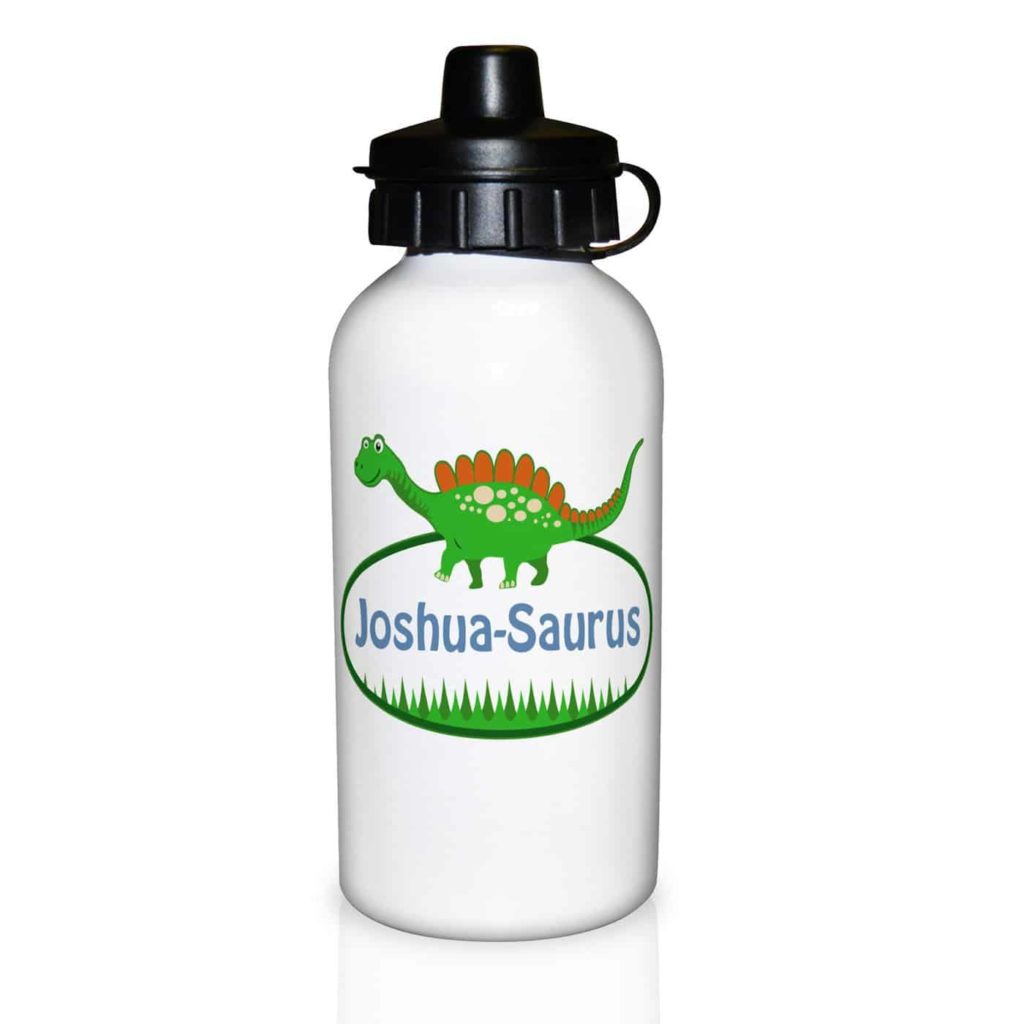Dinosaur Drinks Bottle