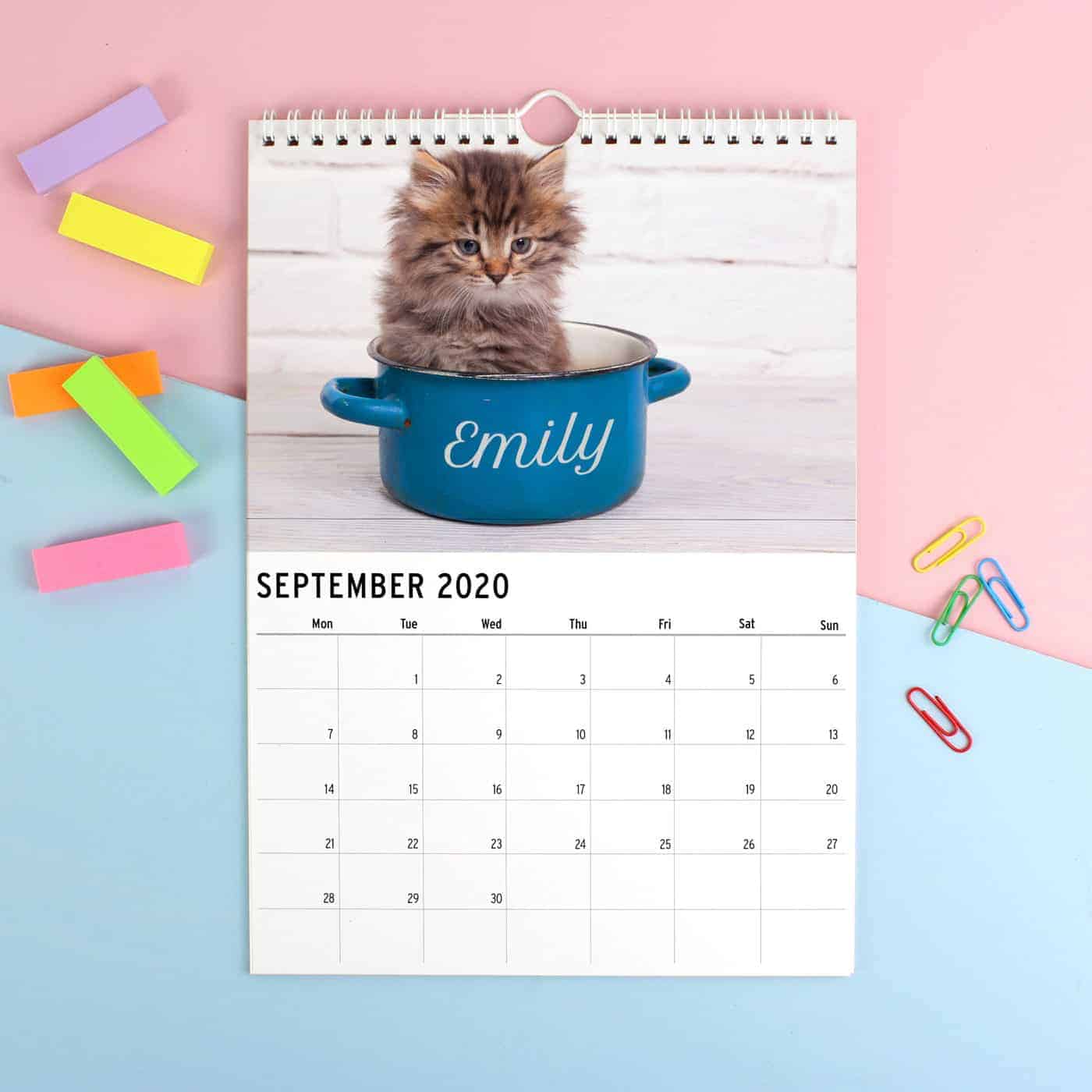 Personalised A4 Cats & Kittens Calendar Personalised A4 Cats & Kittens Calendar